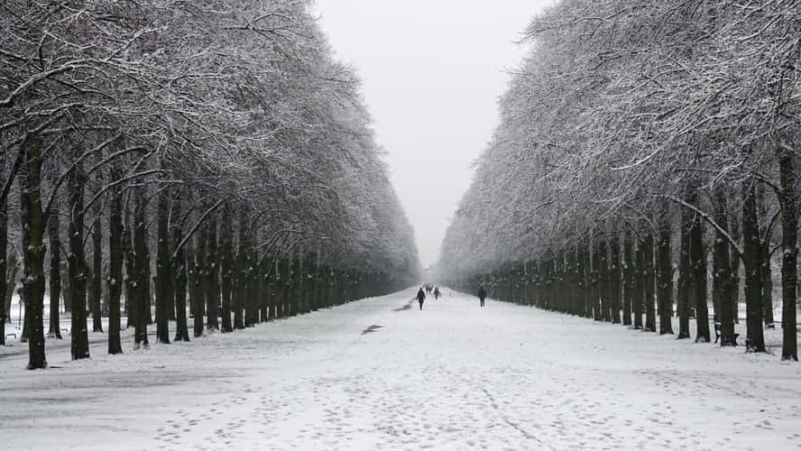 Herrenhäuser Allee, Hanover