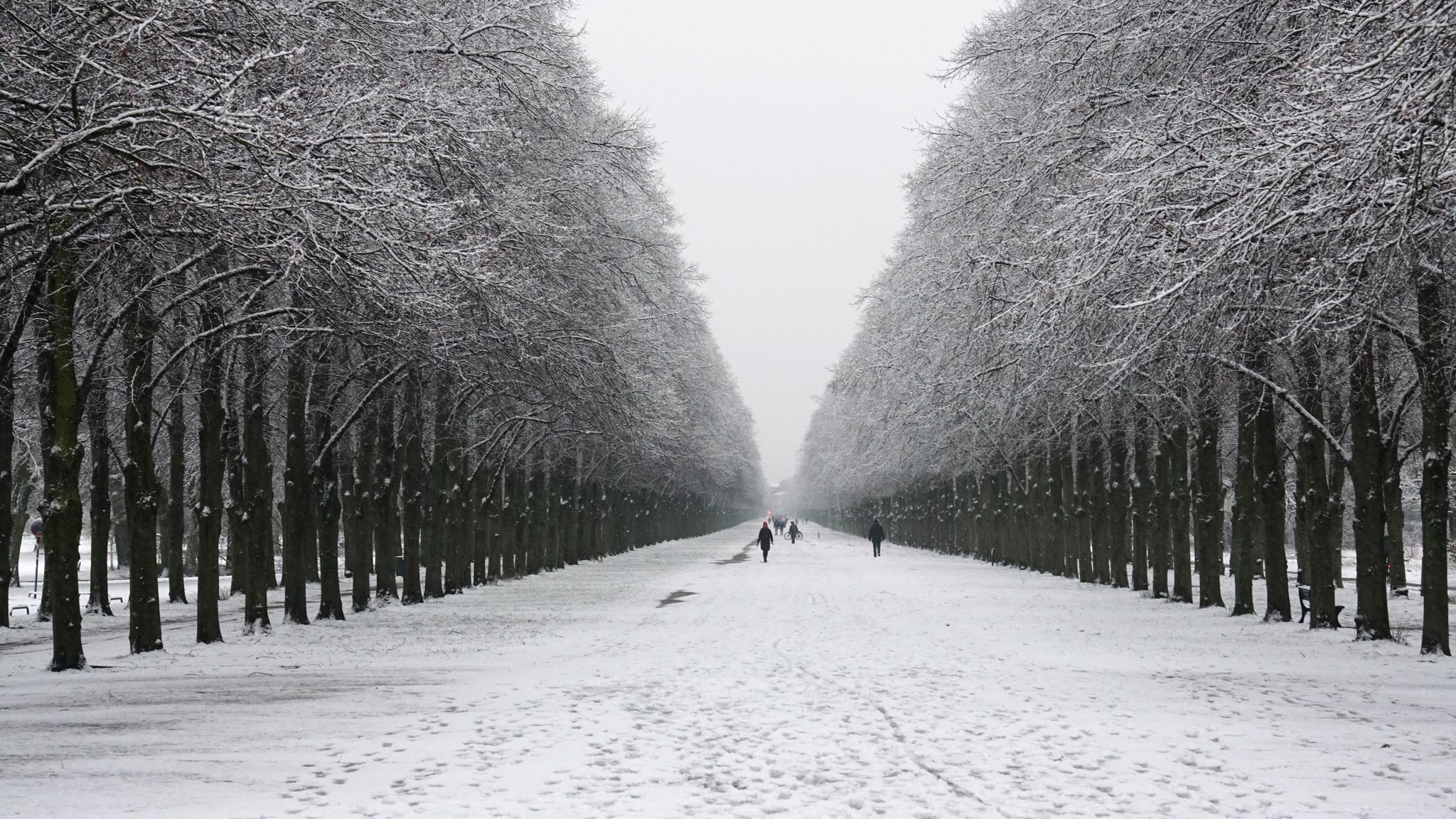 Herrenhäuser Allee, Hanover, Germany