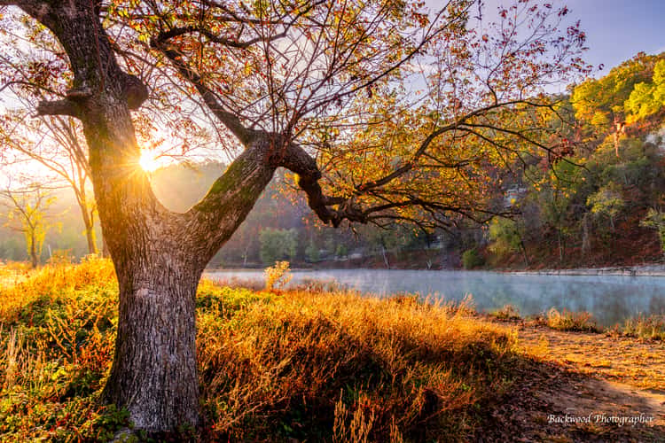 Horseshoe Bend Sunrise