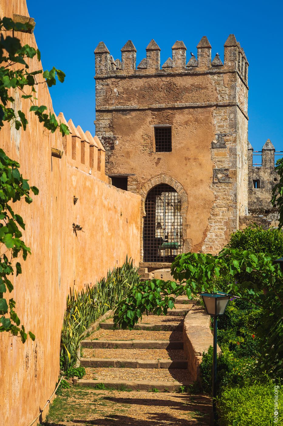 Jardin Andalous, Morocco