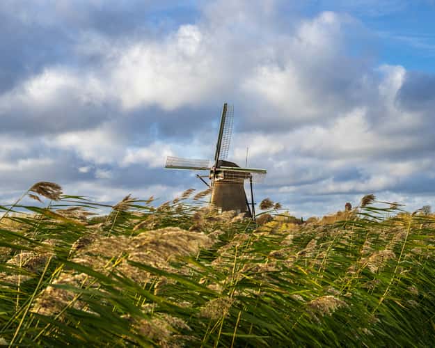 Kinderdijk