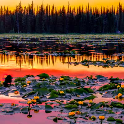 Lily Lake Sunset, USA