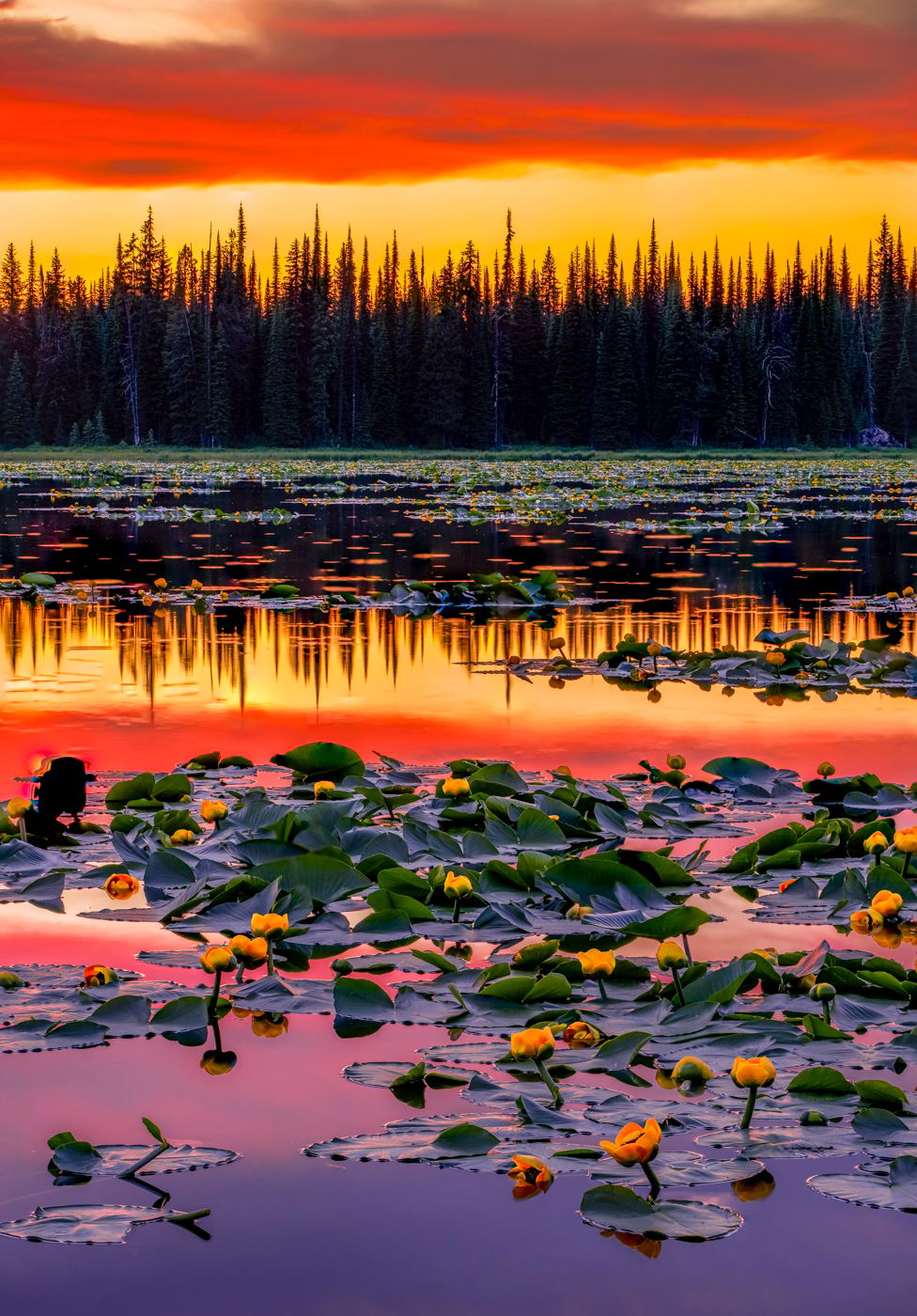 Lily Lake, USA