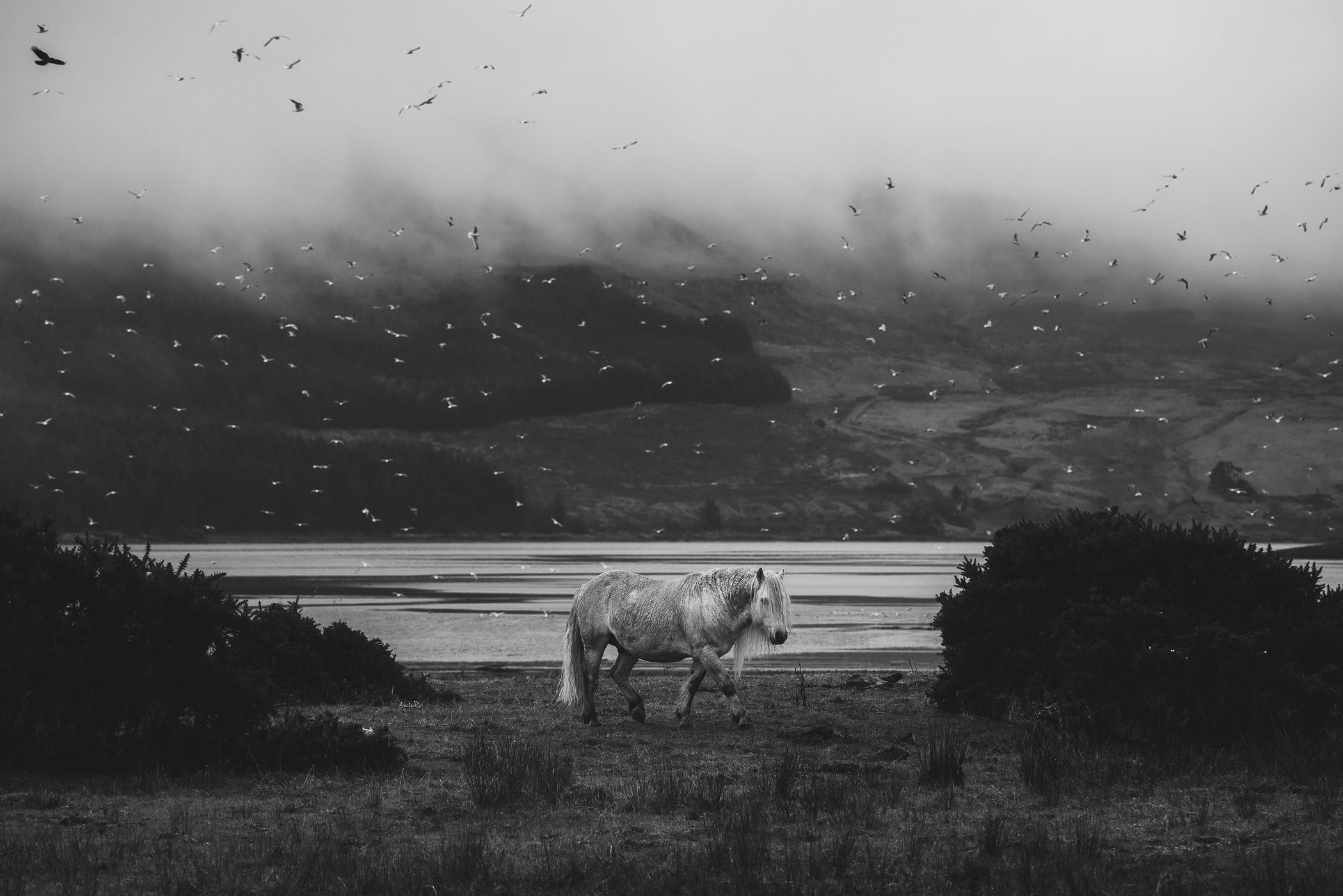 Loch Eynort, United Kingdom