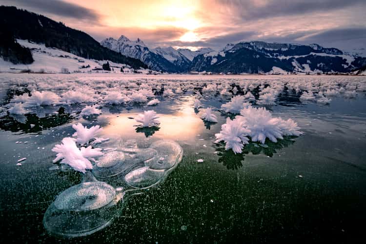Methane bubbles and ice flowers, Sihlsee