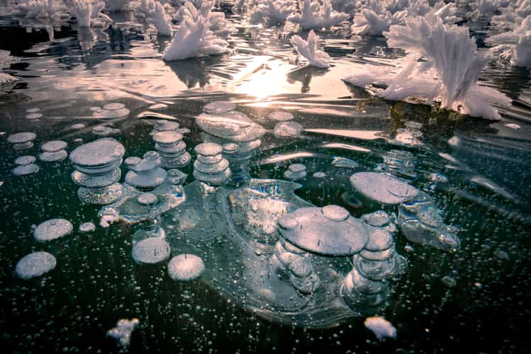 Methane bubbles and ice flowers, Sihlsee