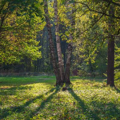 Park in Gatchina, Russian Federation