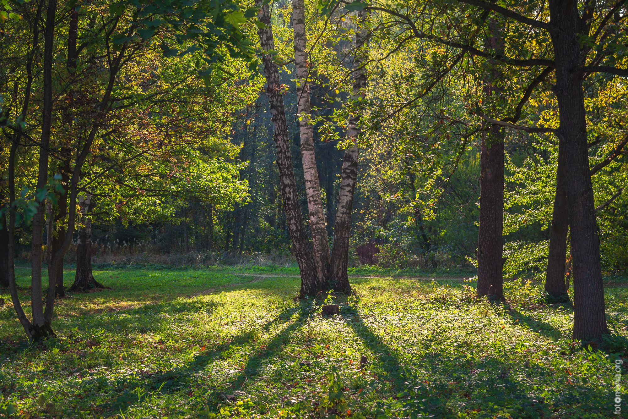 Park in Gatchina, Russian Federation