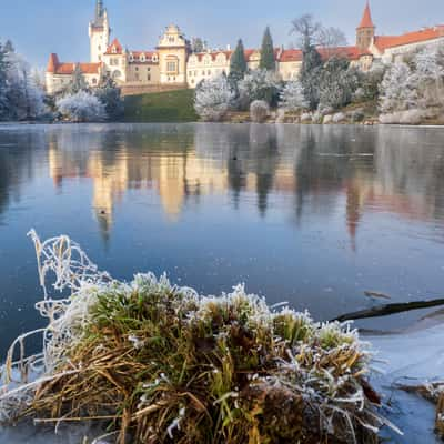 Park Průhonice, Czech Republic