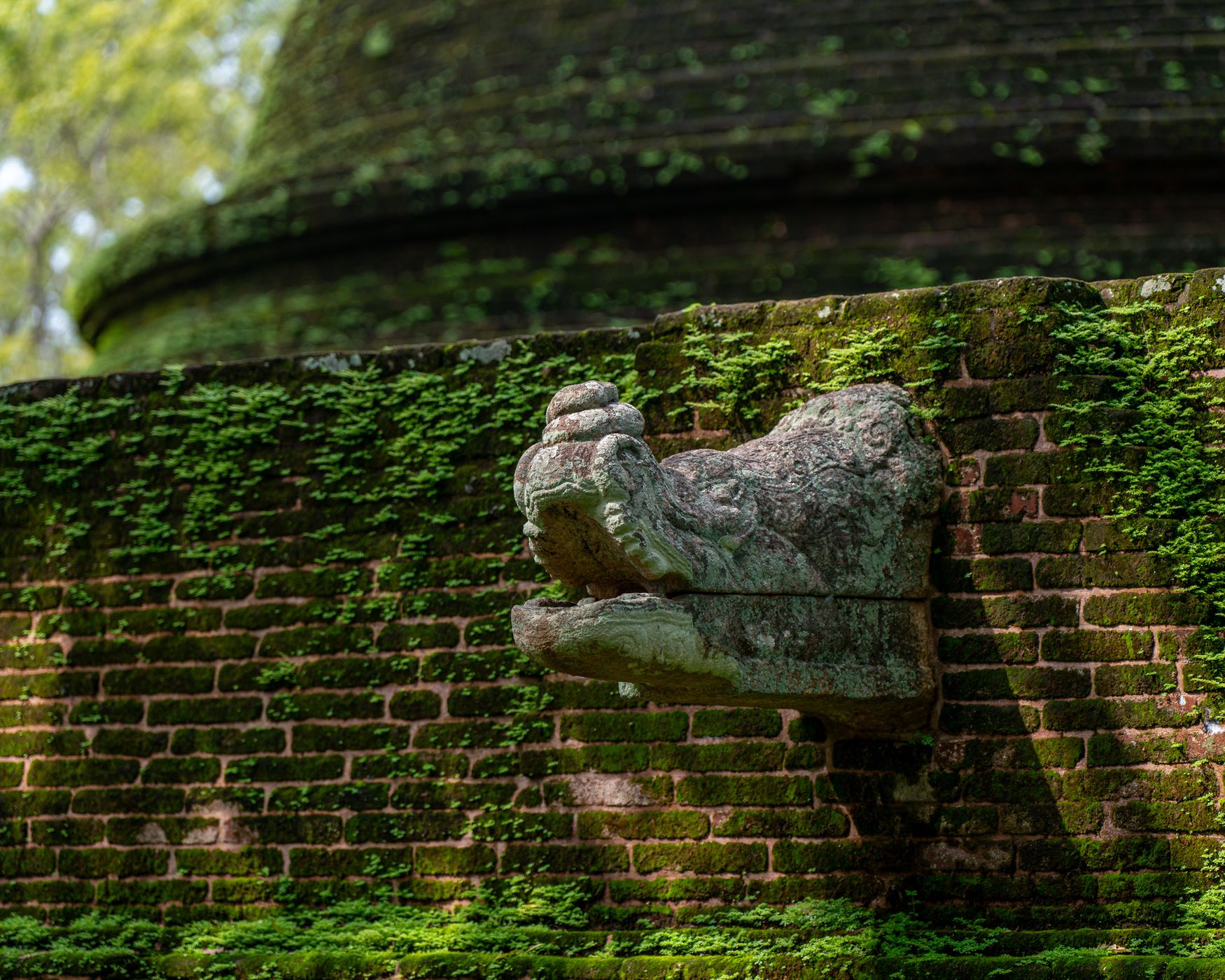 Polonnaruwa Ruins, Sri Lanka