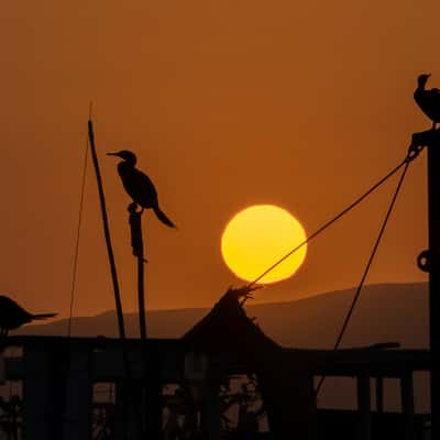 Port of Paracas, Peru