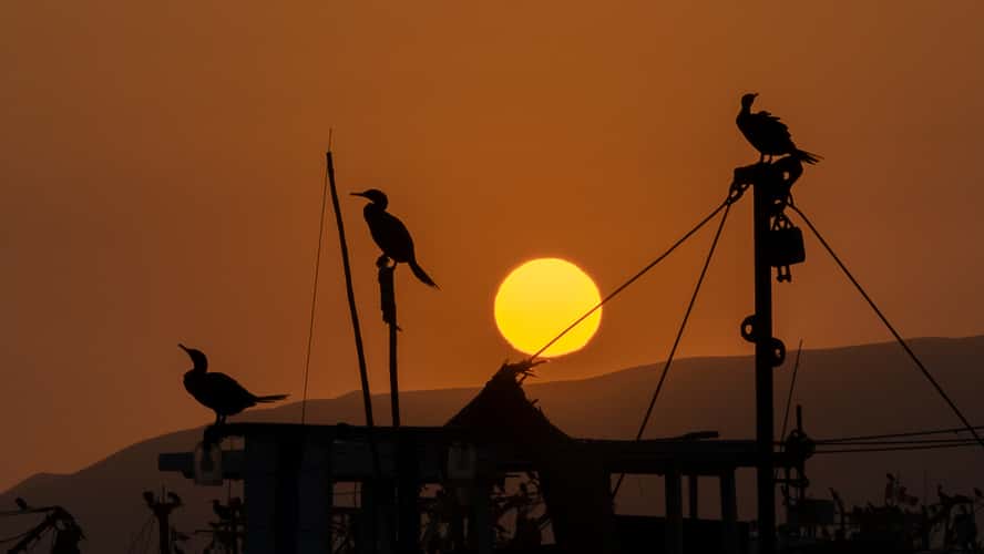 Port of Paracas