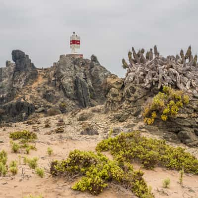 Punta de Lobos, Chile