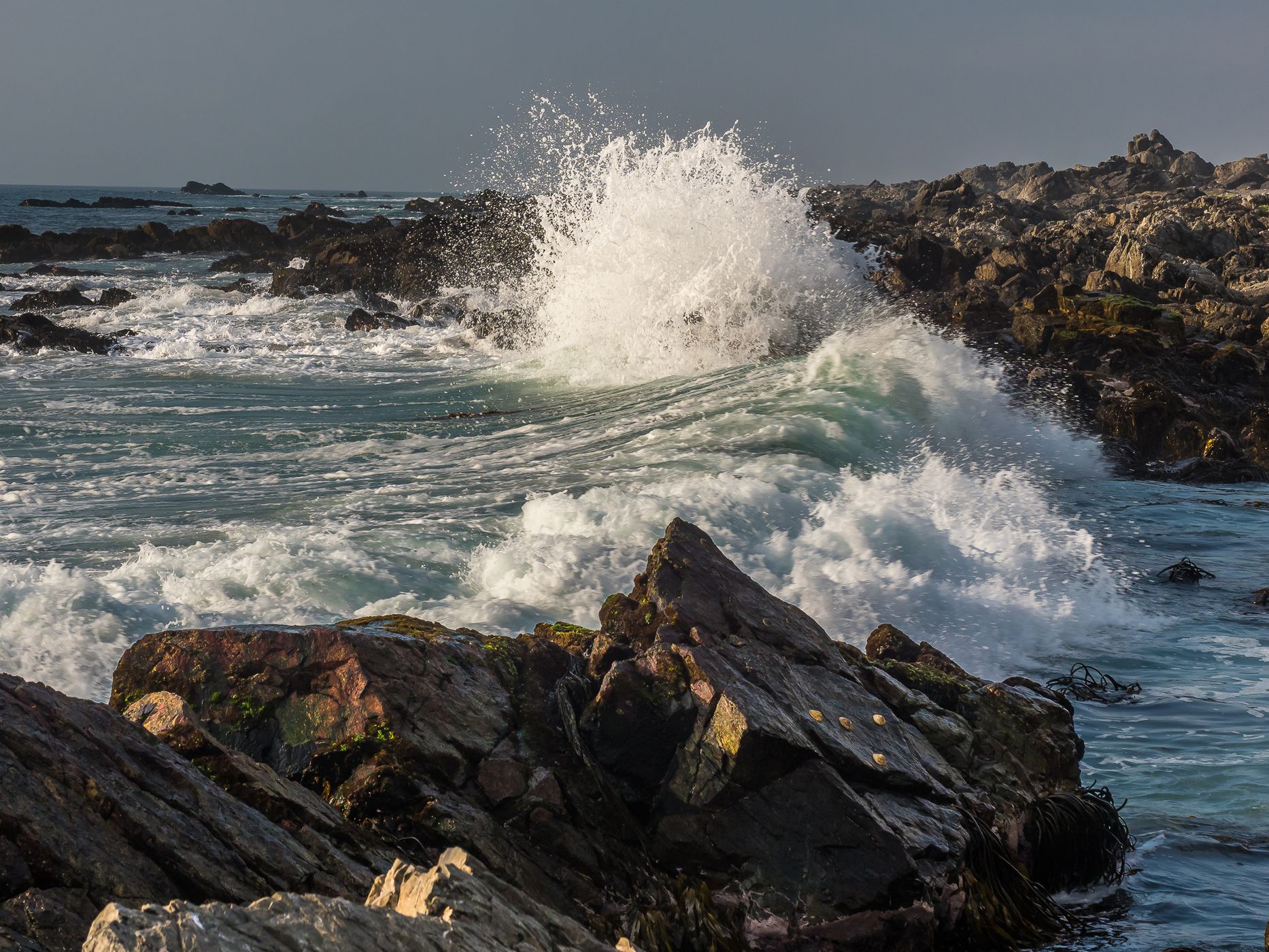 Punta de Lobos, Chile