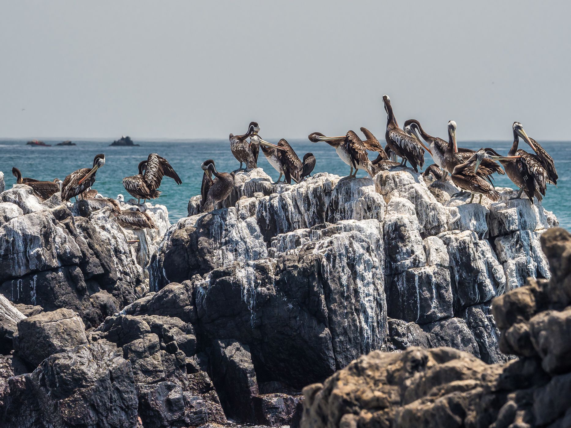 Punta Vial, Chile