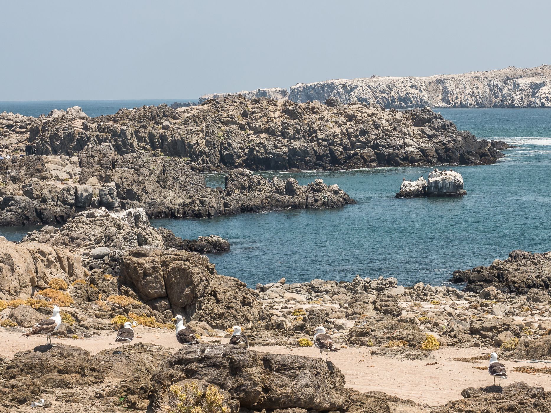 Punta Vial, Chile