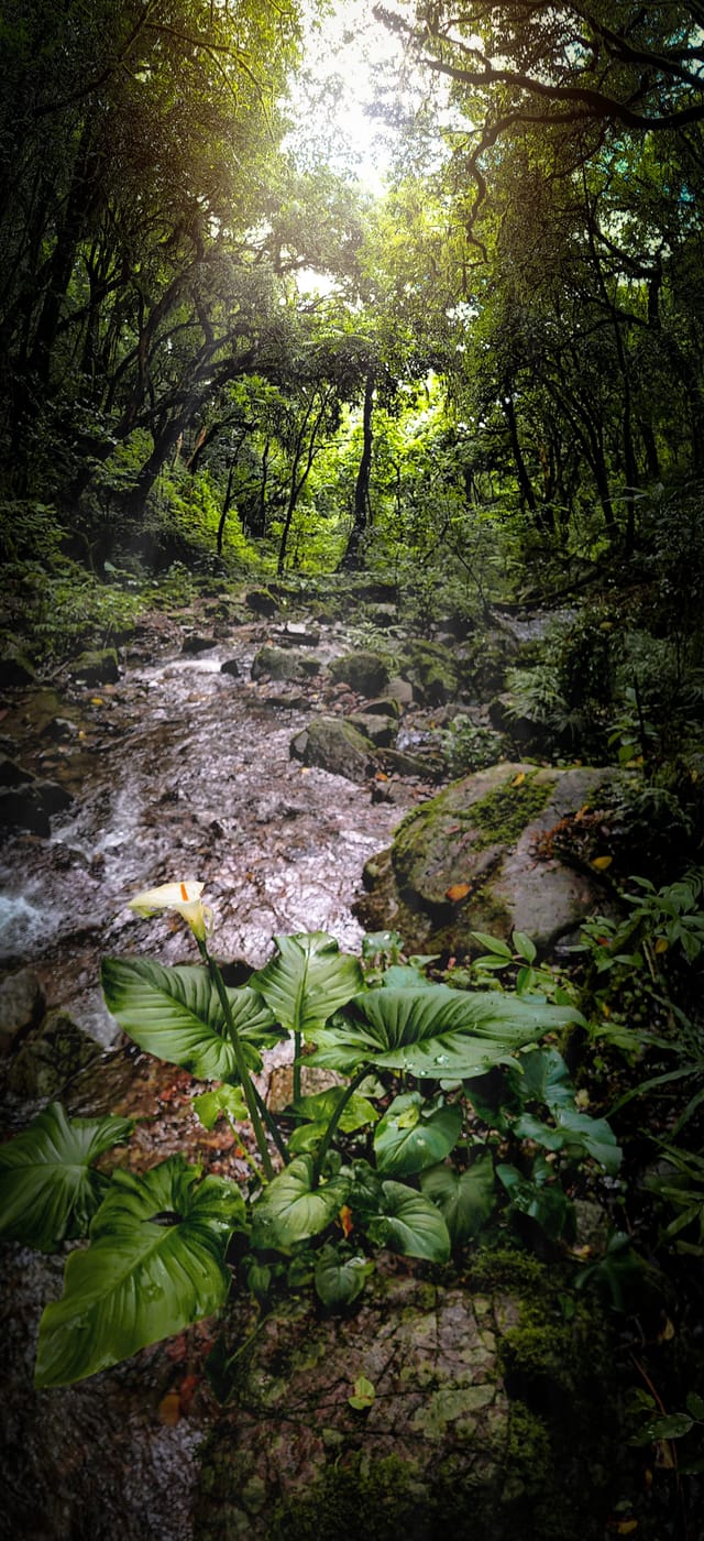 Quebrada de san Lorenzo, Argentina