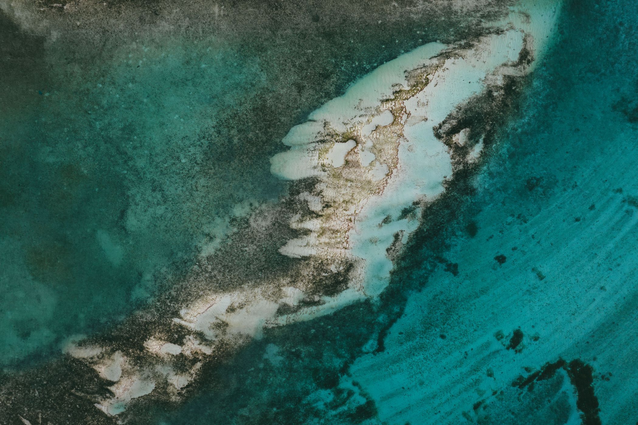 Reef at North Le Morne, Mauritius, Mauritius