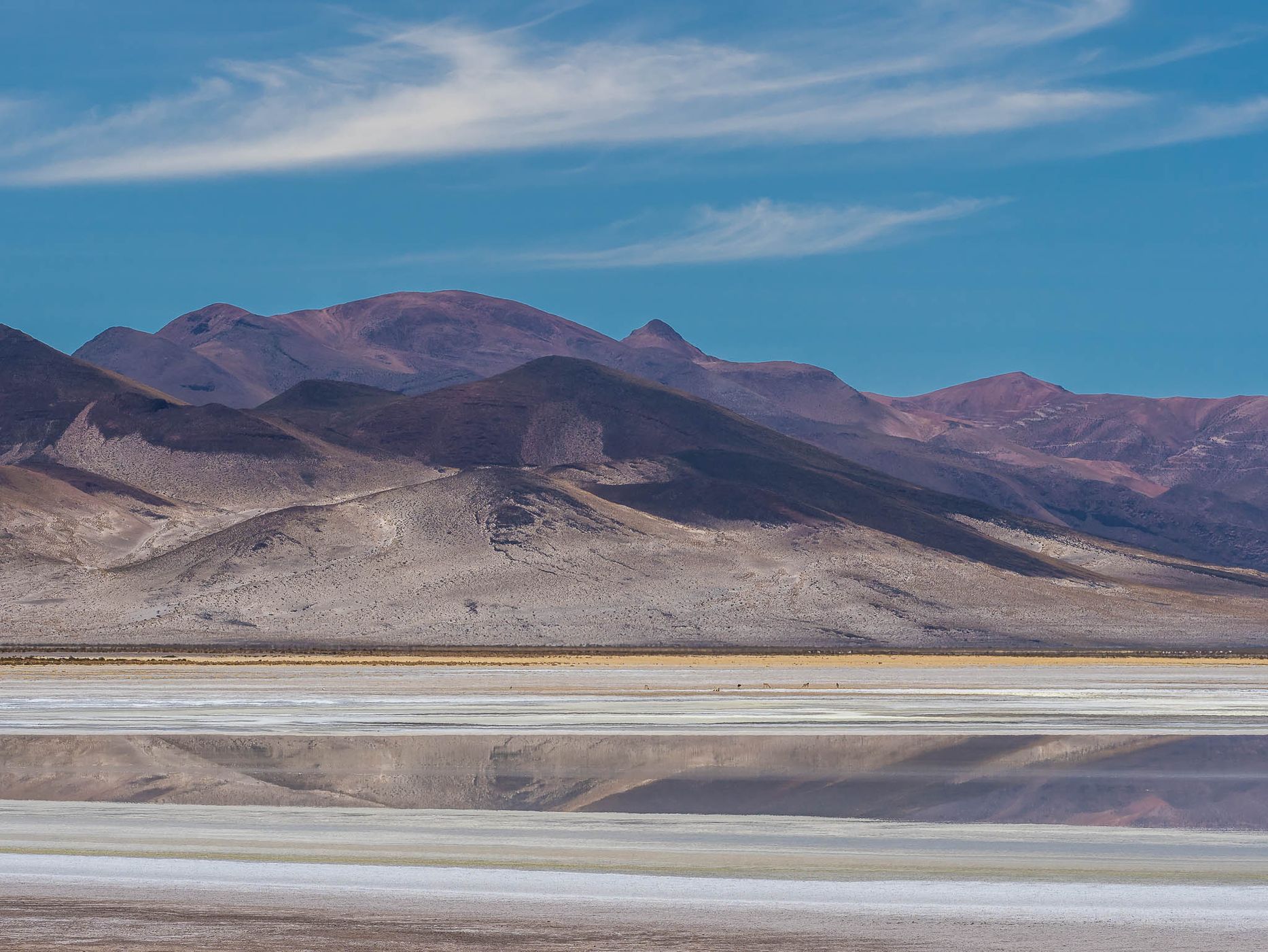 Salar del Huasco, Chile