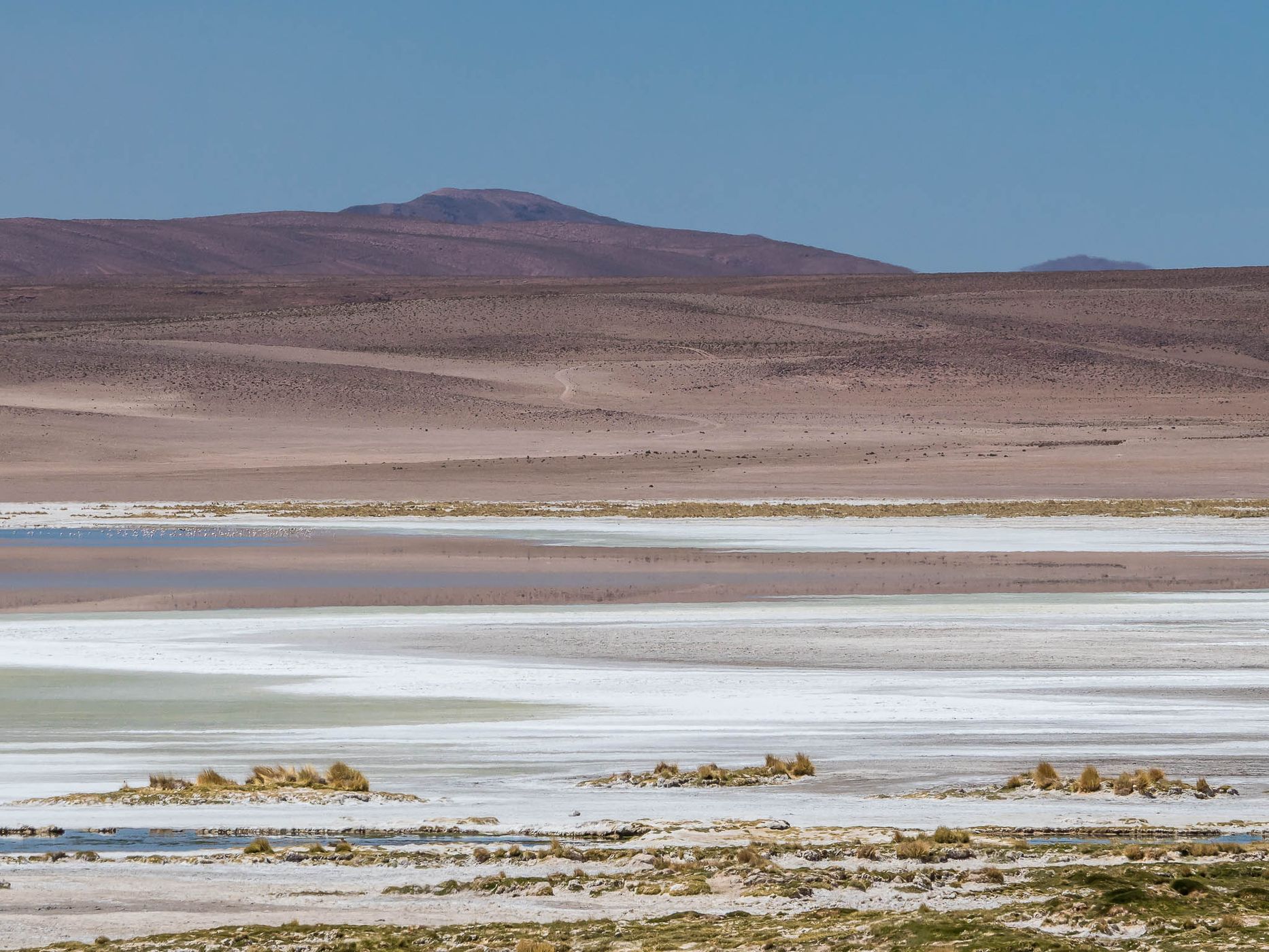 Salar del Huasco, Chile