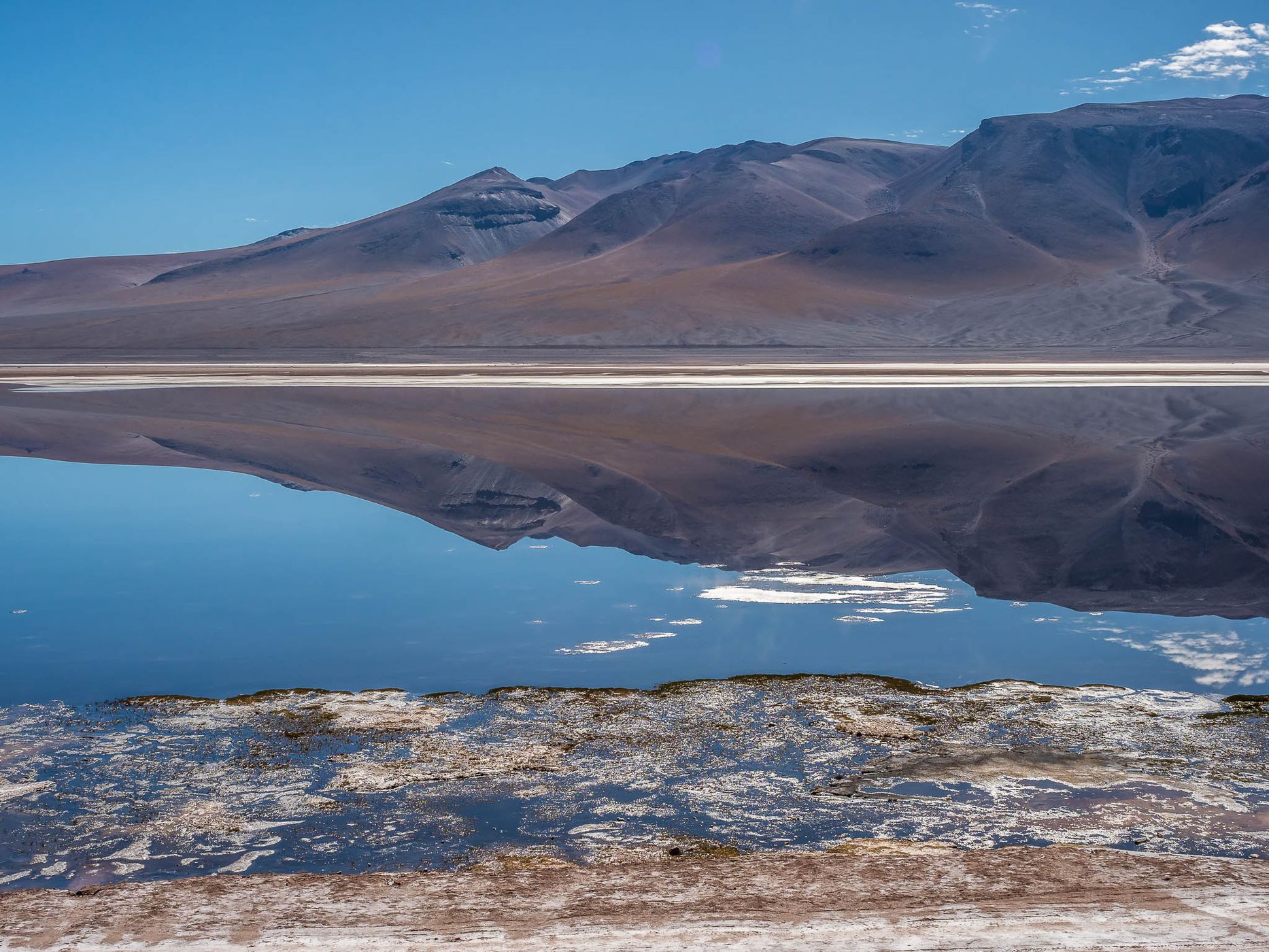 Salar y Laguna de Tara, Chile