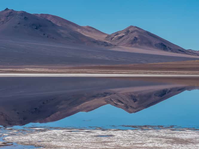 Salar y Laguna de Tara