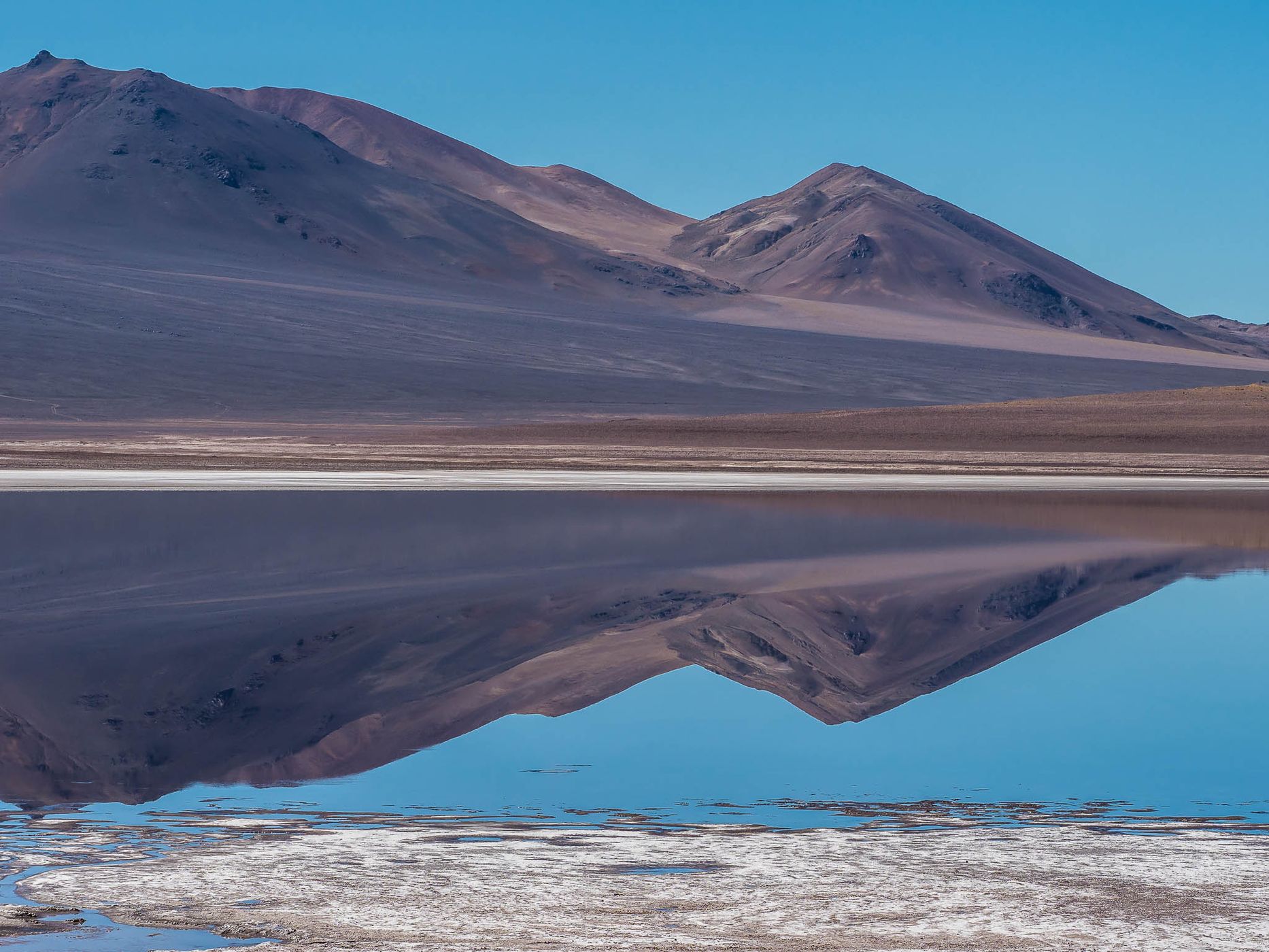 Salar y Laguna de Tara, Chile