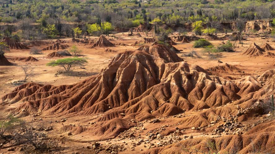 Tatacoa desert