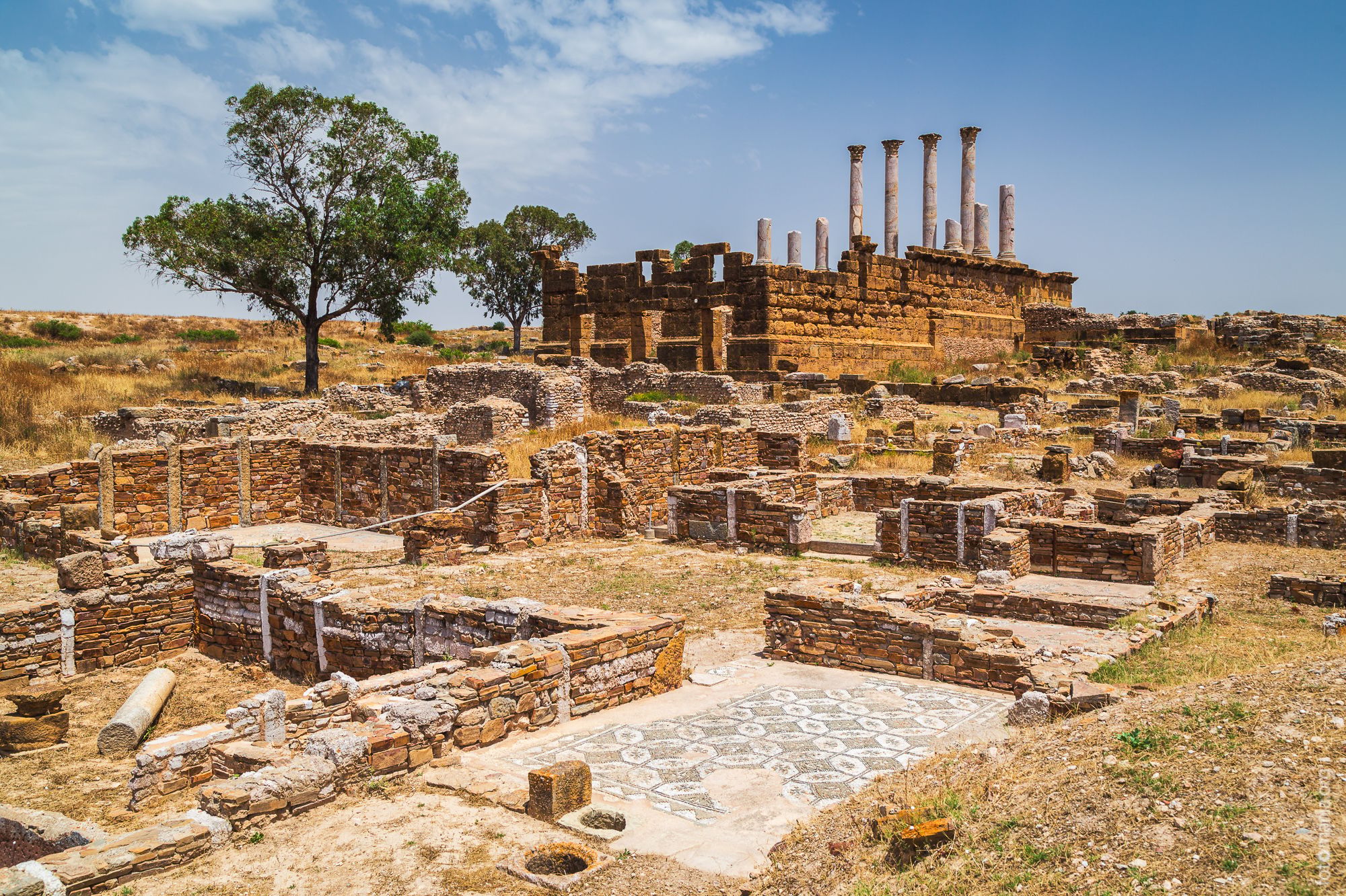 The Archaeological Site of Thuburbo Majus, Tunisia