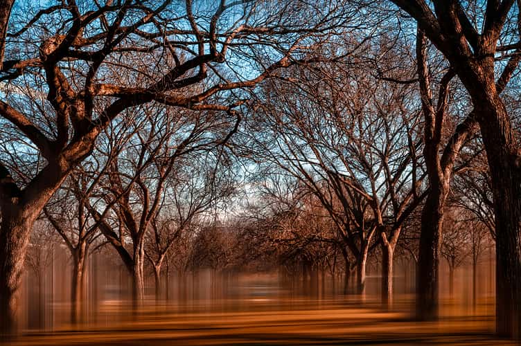 Washington DC