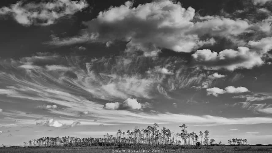 Along Mahogany Hammock Rd in Everglades
