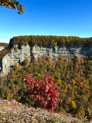 Archery Field Overlook - Letchworth State Park
