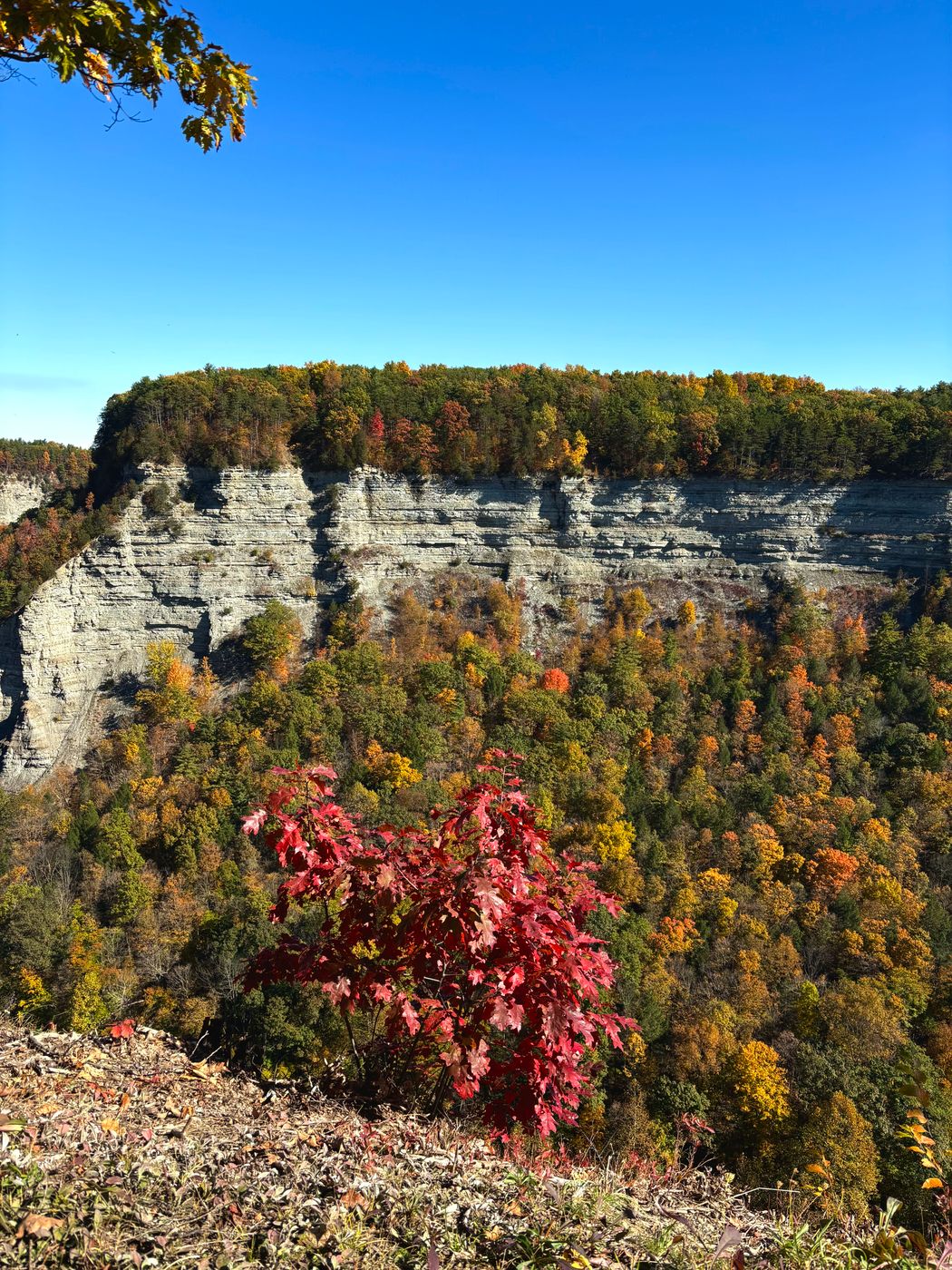 Archery Field Overlook - Letchworth State Park, USA