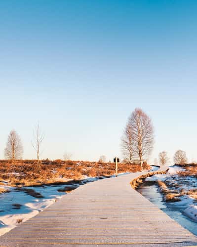 Brackvenn at the German/Belgium border