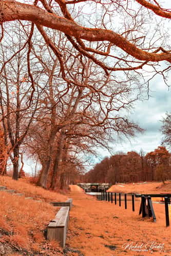 Canal d'Ille et Rance