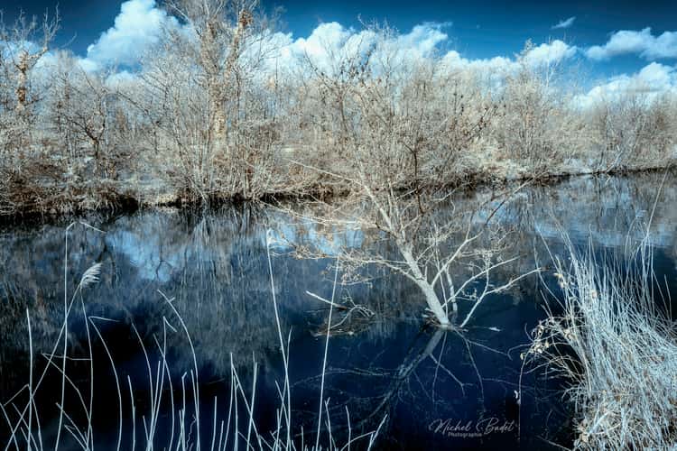 Canal d'Ille et Rance, Ville Morin