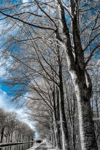 Canal d'Ille et Rance, Ville Morin