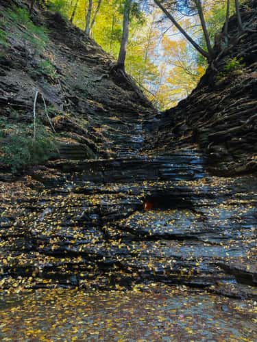 Chestnut Ridge Park