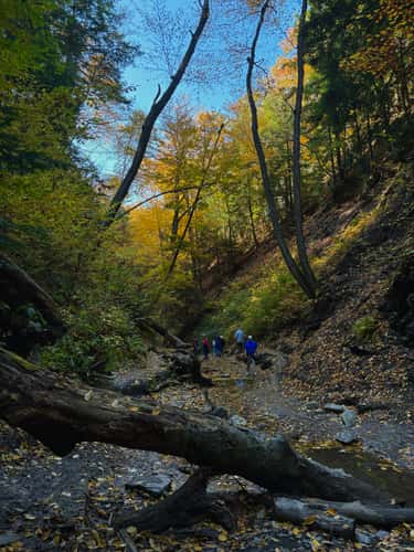 Chestnut Ridge Park