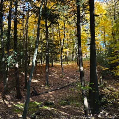 Chestnut Ridge Park, USA