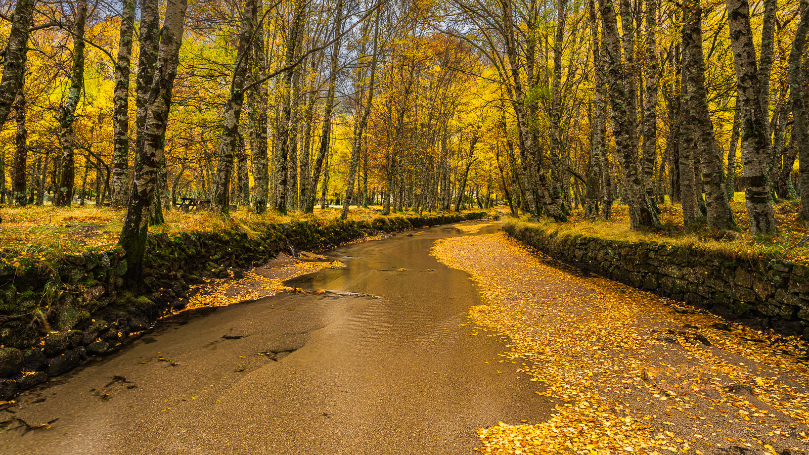 Covão D' Ametade, Serra da Estrela, Portugal