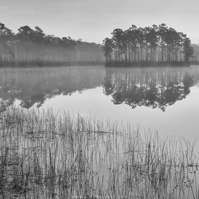 Everglades Long Pine Key, USA