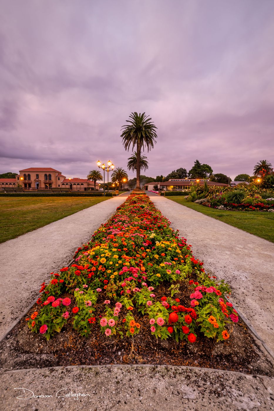 Flower bed Government Gardens, Rotorua, North Island, New Zealand