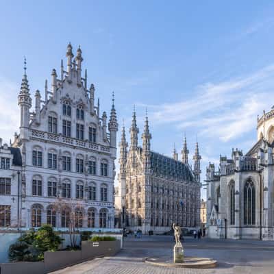 Fonske Statue and Leuven City Hall, Belgium