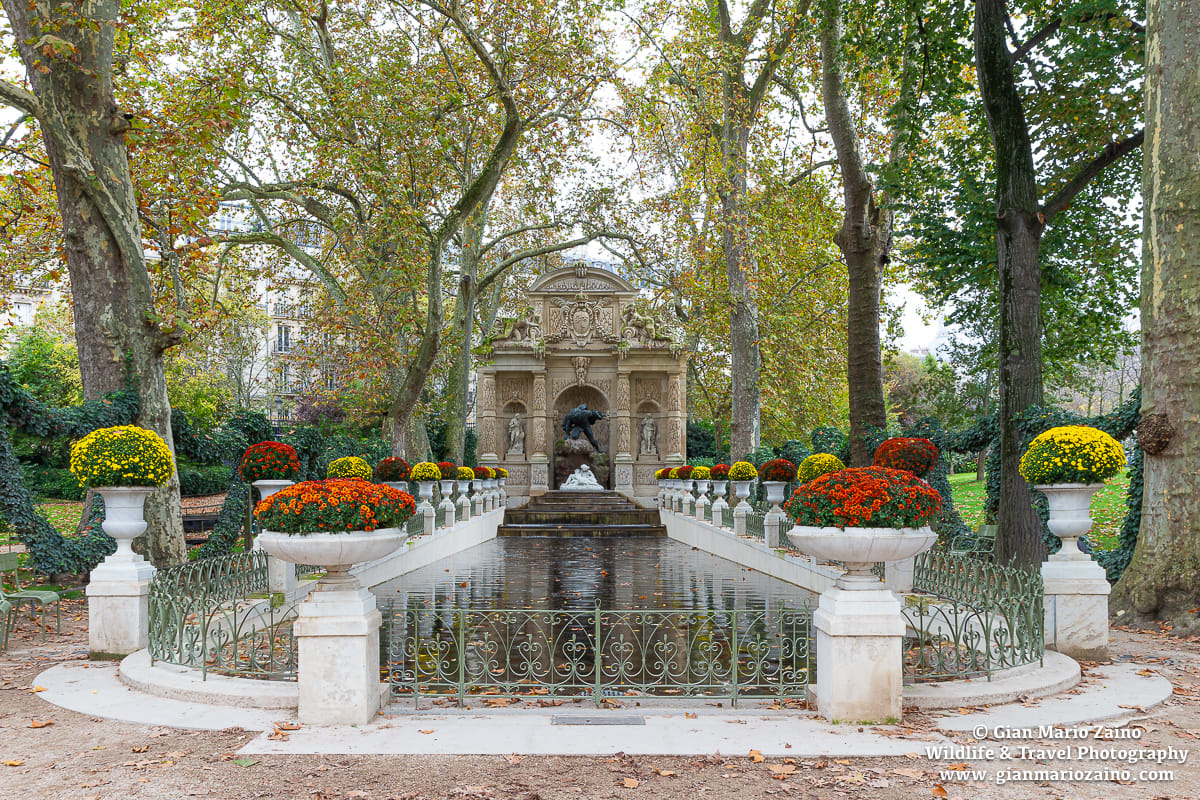 Fontaine Médicis, France