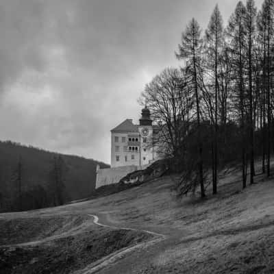 Footpath leading to Zamek Pieskowa Skala., Poland