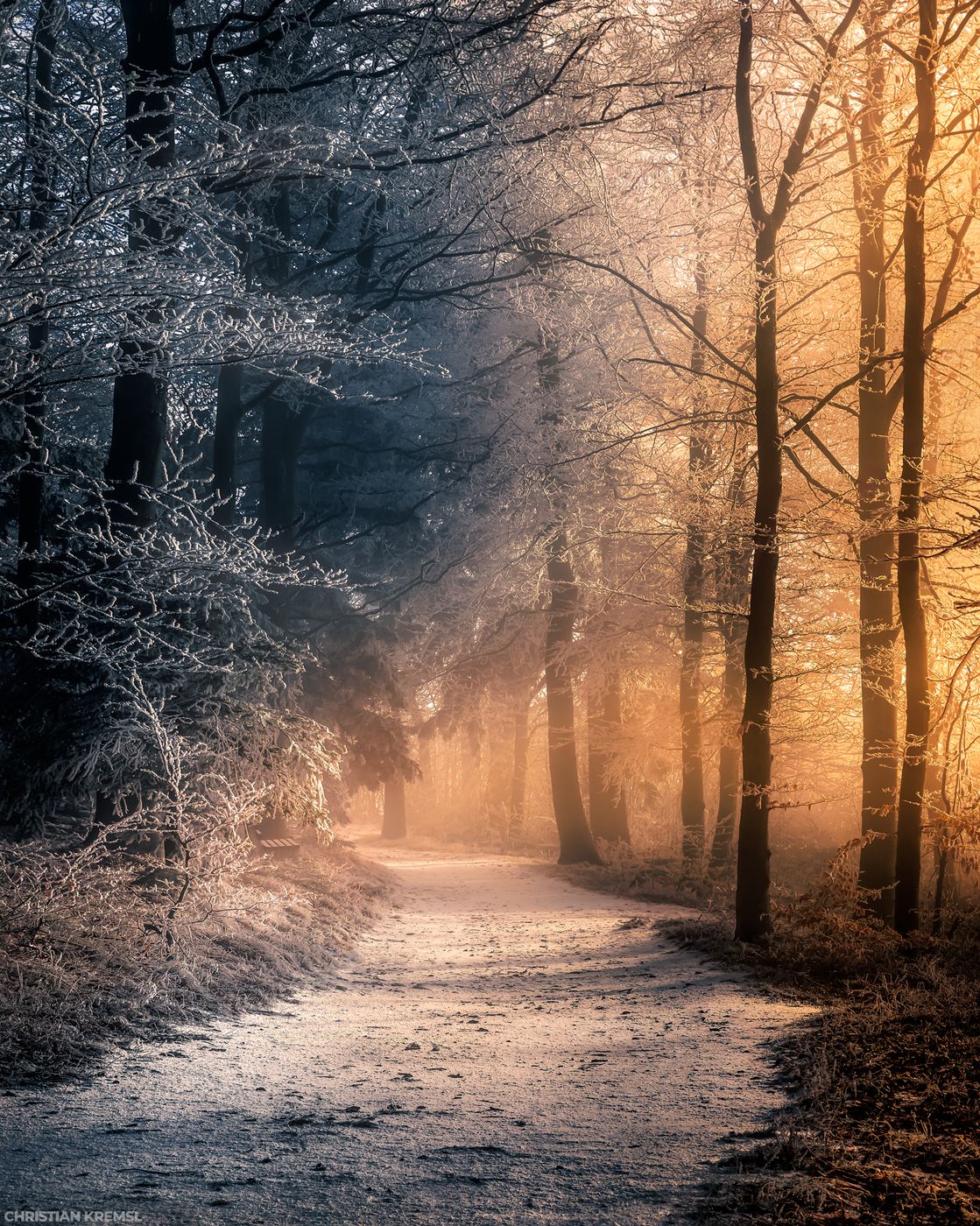 Forest Path on the Rosaliengebirge, Austria