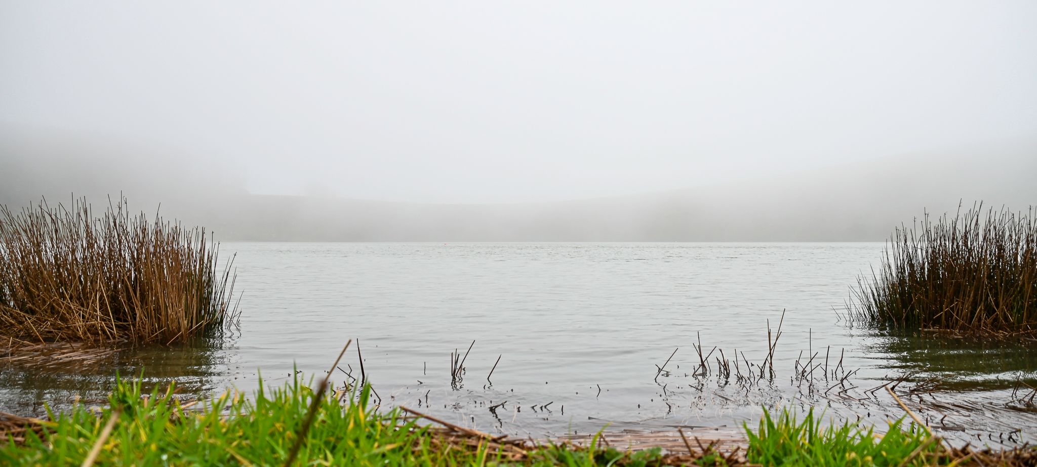Green area surrounding 'Lagoa de São Brás', Portugal