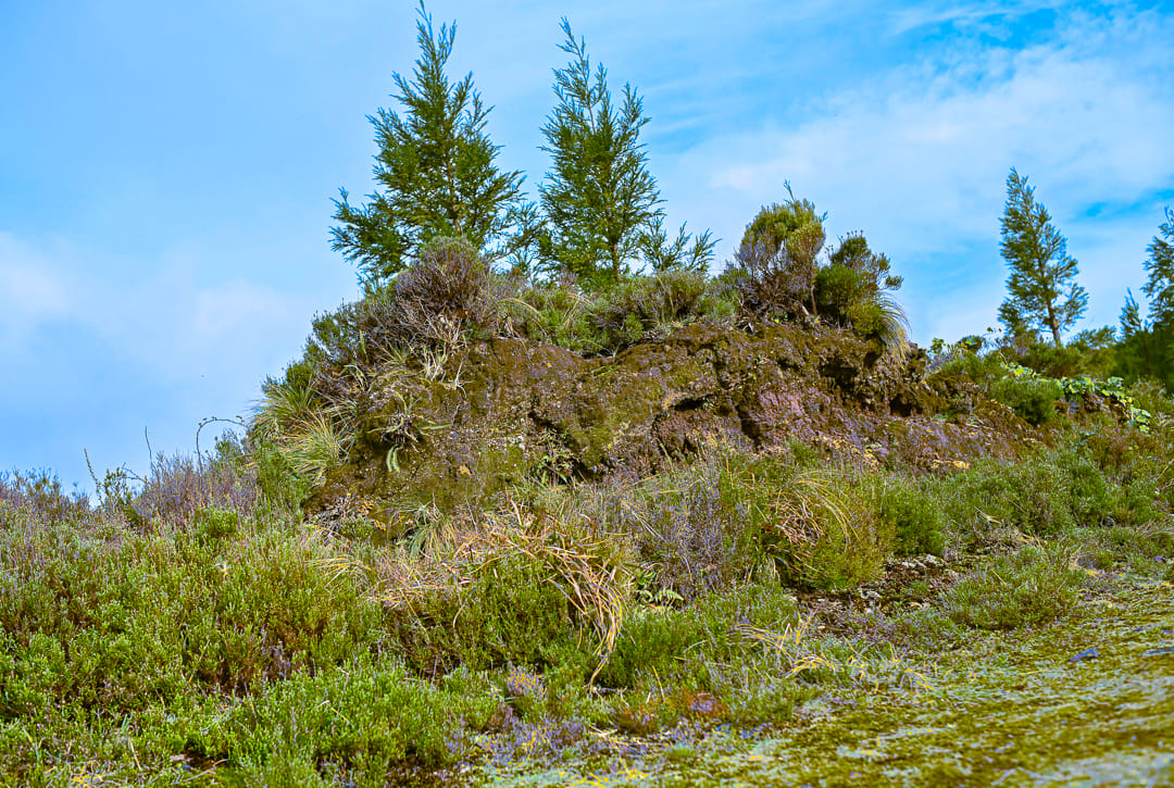 Green area surrounding 'Lagoa do Fogo', Portugal