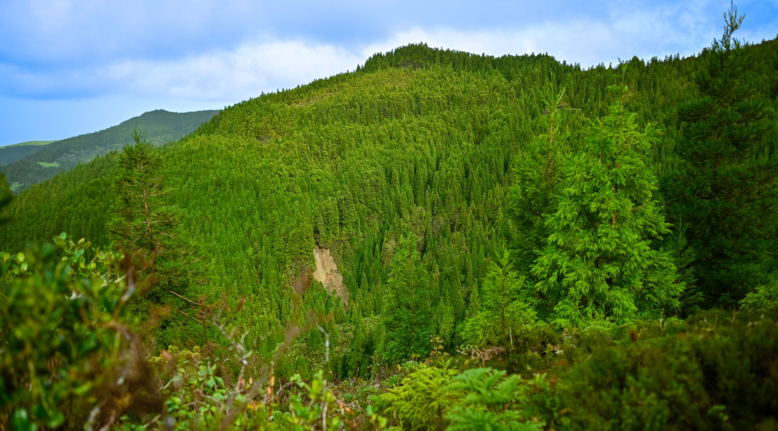 Green area surrounding 'Lagoa do Fogo', Portugal